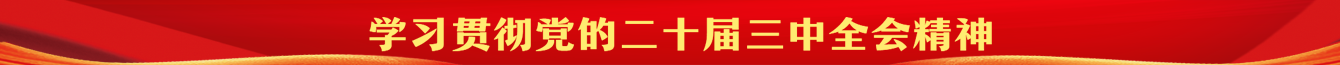 学习贯彻党的二十届三中全会精神