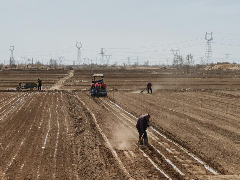 1716187703896142.jpg 1.jpg