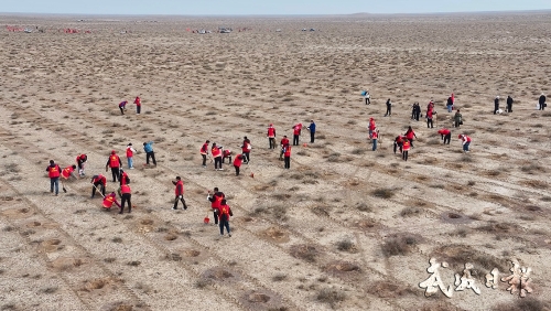 1741314365744233.jpg 12.jpg